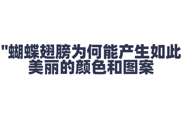 "蝴蝶翅膀为何能产生如此美丽的颜色和图案？"